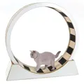 swisspet Katzenrad Monte Vigo Klein Weiss