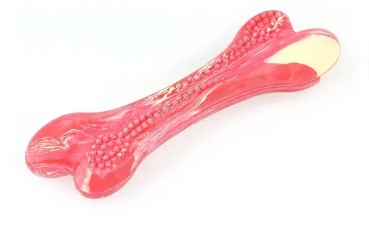 Dental-Knochen Rind