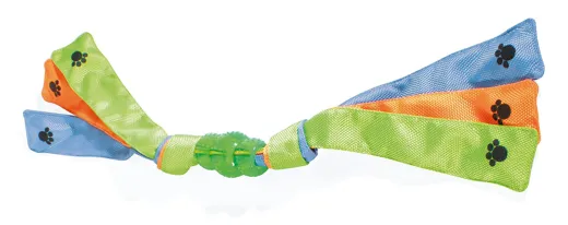 Tricolor Dental Play