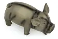 Latex Schwein
