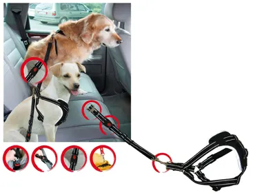swisspet Hunde-Sicherheitsgeschirr DogSafe