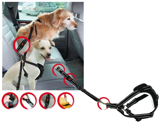 Universell verstellbares Sicherheits-Geschirr für den Hund.