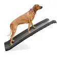 Hunderampe swisspet Go In bis 80 Kg belastbar.