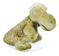 Dino Punk