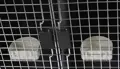 Die swisspet Hundedoppelbox FB88 ist mit zwei Näpfen ausgestattet.