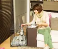 Dog-Inn von Ferplast Ideal für das Training des Hundes zu Hause.