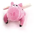 Flying Pig gross