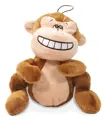 Funny Monkey