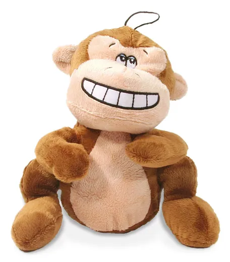 Funny Monkey