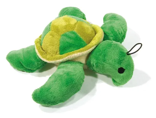 Schildkröte Fridolin