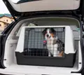 Platz für Hunde bis 40 Kg bietet die Transportbox Atlas Car 100.