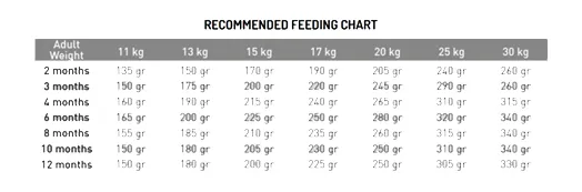 Exclusion-Mediterraneo-Trockenfutter-Hunde-Welpen-mittel-Thunfisch-Futtermenge