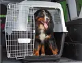 Ferplast Atlas 80 Professional für grosse Hunde bis max. 80 Kg geeignet.