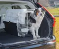 Platz für Hunde bis 30 Kg in der Atlas 40 Professional Hundebox.