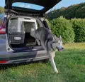 Die Ferplast Atlas 70 Professional Transportbox für Hunde bis max. 60 Kg.
