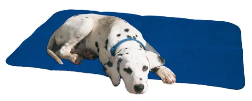 swisspet Hundematte für mehr Hygiene ob Unterwegs oder zu Hause.