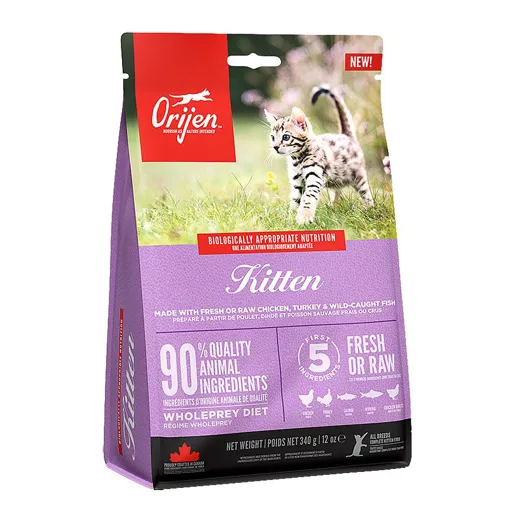 Orijen Kitten