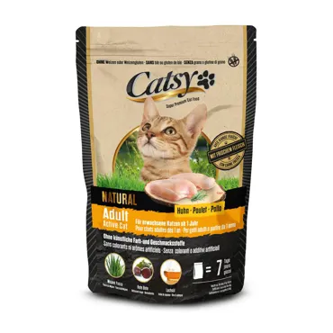 Adult Active Cat Chicken
