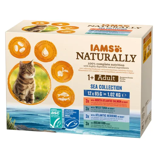Delights Meereskollektion in Gelee für ausgewachsene Katzen