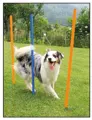Agility-Slalom Set für Hunde von swisspet.