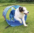 Fester Eingang des Agility Tunnels von swisspet.