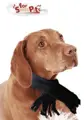 Hundeschal swiss pet aus Fleece in Schwarz