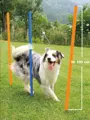 swisspet Slalom-Parcours für ein besseres Agility-Training.