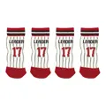 swisspet Hundesocken Leader mit Anti Slip Rot