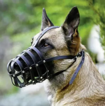 K9 Ledermaulkorb Leicht, Schwarz