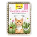 GimCat Katzengras mit Wiesenduft