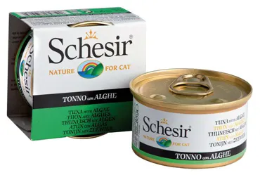 Schesir Jelly in Dose - Adult - Thon mit Algen 85g