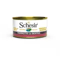Schesir Jelly in Dose Thunfisch mit Zahnbrasse