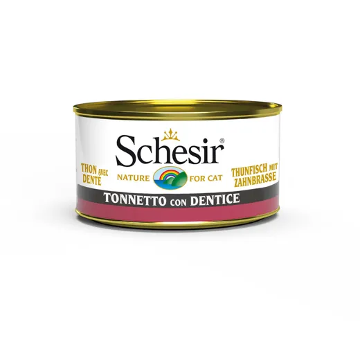 Schesir Jelly in Dose Thunfisch mit Zahnbrasse