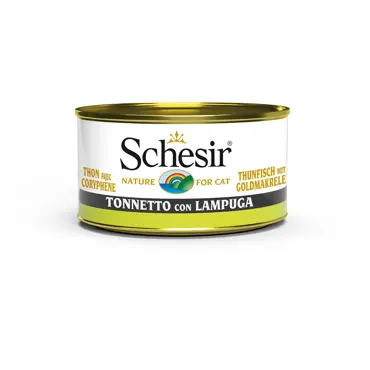 Schesir Jelly in Dose - Thunfisch mit Goldmakrele 85g