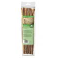 Chewies Sticks Maxi Schwein