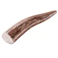 Chewies Rothirsch-Geweihstange ganz XS