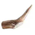Chewies Rothirsch-Geweihstange ganz S