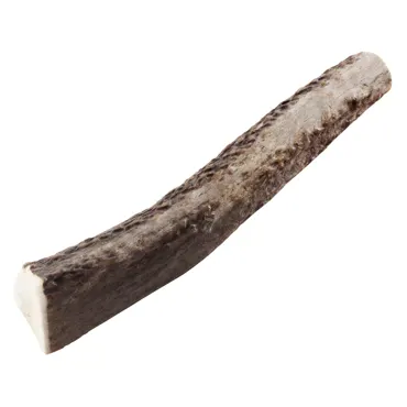 Chewies Rothirsch-Geweihstange halb