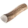 Chewies Rothirsch-Geweihstange halb L