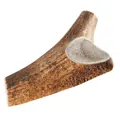 Chewies Rothirsch-Geweihstange halb XL