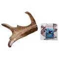 Chewies Damhirsch-Geweihsnack L