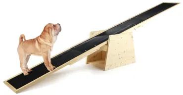 swisspet Hundewippe