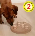 Lernen und belohnt werden mit dem swisspet Doggy 2 in 1 Lernspielzeug.