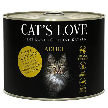 cat love fisch