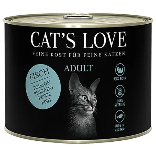 cat love fisch
