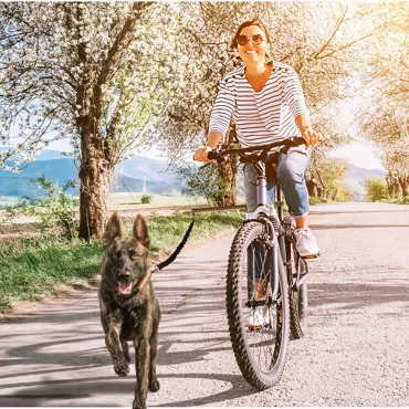 swisspet Fahrradhalter Run