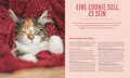 Maine Coon Katzen - Alles zum Wohlergehen der sanften Riesen .