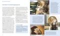 Harmoniekonzepte, eines von vielen Themen der Autorin Gabriele Linke-Grün im Buch Wohnungskatzen.