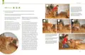 Schritt für Schritt Anleitung zu den besten Spielen für deinen Hund, erschienen im Gräfe & Unzer Verlag.