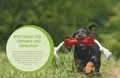 Kirsten Wolfs Ratgeber mit den besten Hundespielen für drinnen und draussen.